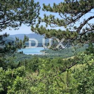 ISTRA, PAZIN, GRIMALDA - Prelijep maslinik s pogledom na jezero