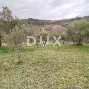 ISTRA, PAZIN, GRIMALDA - Prelijep maslinik s pogledom na jezero