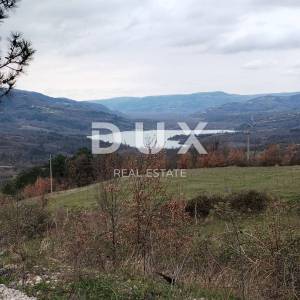 ISTRA, PAZIN, GRIMALDA - Prelijep maslinik s pogledom na jezero