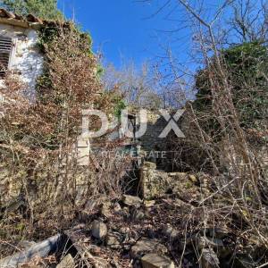 ISTRA, PAZIN - Imanje s potencijalom na osami
