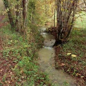 ISTRA, PAZIN - Imanje s potencijalom na osami