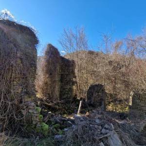 ISTRA, PAZIN - Imanje s potencijalom na osami