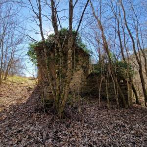ISTRA, PAZIN - Imanje s potencijalom na osami