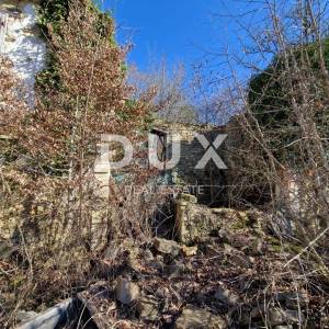 ISTRA, PAZIN - Imanje s potencijalom na osami