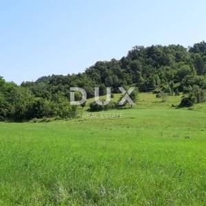 ISTRA, PAZIN - Imanje s potencijalom na osami