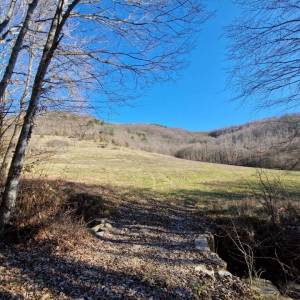 ISTRA, PAZIN - Imanje za obnovu