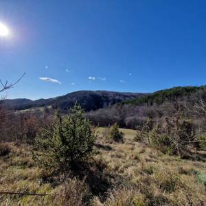 ISTRA, PAZIN - Imanje za obnovu