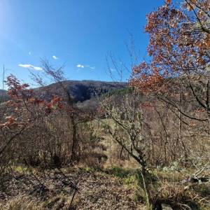 ISTRA, PAZIN - Imanje za obnovu