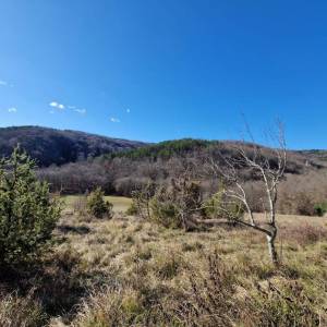 ISTRA, PAZIN - Imanje za obnovu