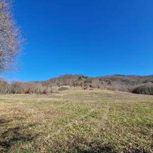 ISTRA, PAZIN - Imanje za obnovu