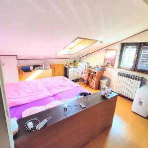 Istra, Pazin, kuća 244.61m2