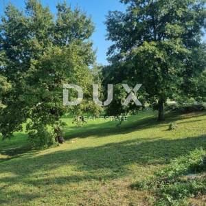 ISTRA, PAZIN - Kuća s bazenom u srcu Istre (ROH BAU)