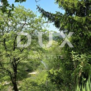 ISTRA, PAZIN - Obiteljska kuća u prirodi s prekrasno uređenom okućnicom, pogled na zelenilo