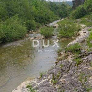 ISTRA, PAZIN - Obiteljska kuća u prirodi s prekrasno uređenom okućnicom, pogled na zelenilo