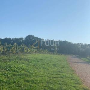 Istra, Pazin - okolica, poljoprivredno zemljište, 45.000m2