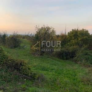 Istra, Pazin - okolica, poljoprivredno zemljište, 45.000m2