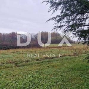 ISTRA, PAZIN - Poljoprivredno zemljište površine 10.000 m2