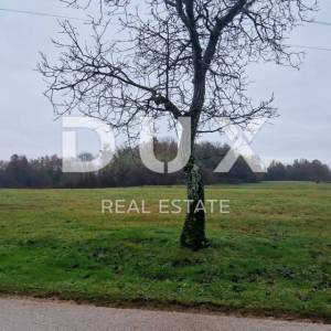ISTRA, PAZIN - Poljoprivredno zemljište površine 22.317 m2