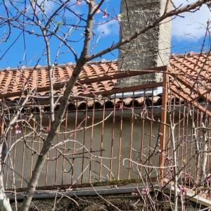 ISTRA, PAZIN - Samostojeća kamena starina s iznimnim potencijalom