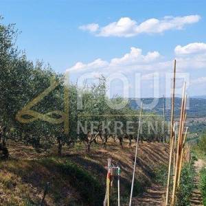 Istra, Pazin, zemljište 1.747m2 s pogledom na jezero