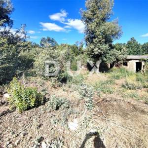 ISTRA, PERUŠKI - Poljoprivredno zemljište 2118 m2