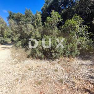 ISTRA, PERUŠKI - Zemljište 3096 m2 T2 Zona 