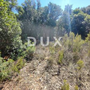 ISTRA, PERUŠKI - Zemljište 3096 m2 T2 Zona 