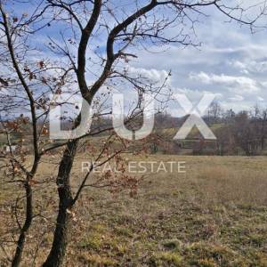 ISTRA, PIĆAN - 1600 m2 građevinskog zemljišta+2100 m2 poljoprivrednog zemljišta