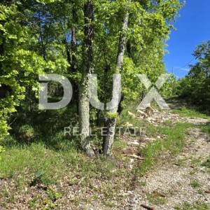 ISTRA, PIĆAN - Građevinsko zemljište na rubu manjeg mjesta