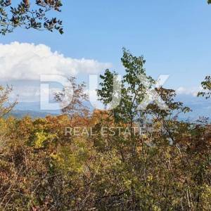 ISTRA, PIĆAN imanje s prekrasnim pogledom i ruševnom kamenom kućom