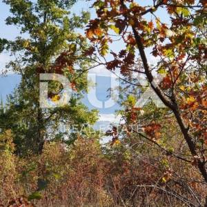 ISTRA, PIĆAN imanje s prekrasnim pogledom i ruševnom kamenom kućom