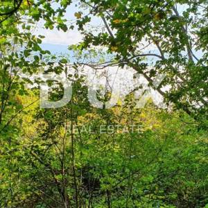 ISTRA, PIĆAN imanje s prekrasnim pogledom i ruševnom kamenom kućom
