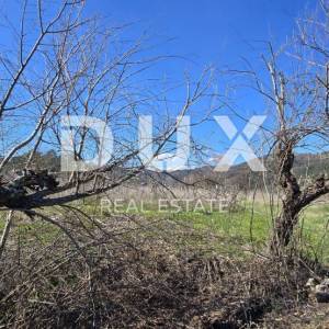 ISTRA, PIĆAN - Novoizgrađena vila smještena u mirnom okruženju