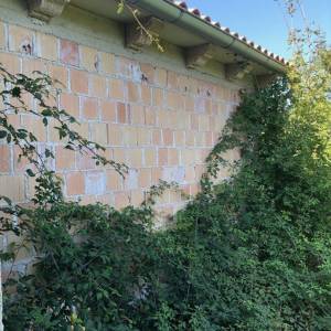 ISTRA, PIĆAN - Prostrano imanje sa starinom za adaptaciju