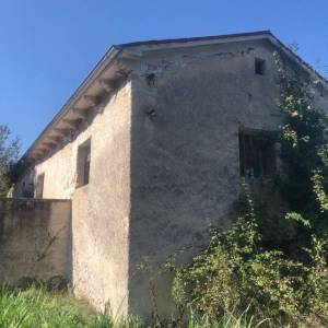ISTRA, PIĆAN - Prostrano imanje sa starinom za adaptaciju