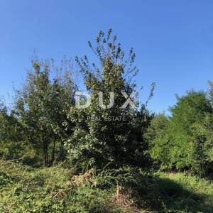 ISTRA, PIĆAN - Prostrano imanje od 2,2Ha s prekrasnim pogledom na Učku