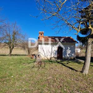 ISTRA, PIĆAN - Samostojeća obiteljska kuća