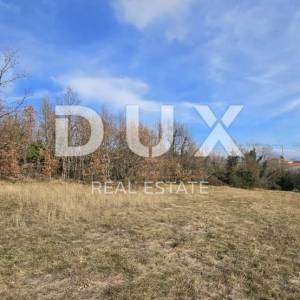 ISTRA, PIĆAN - Veliki kompleks zemljišta od 7580 m2
