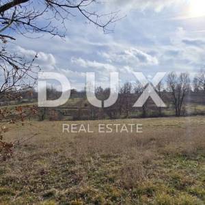ISTRA, PIĆAN - Veliki kompleks zemljišta od 7580 m2