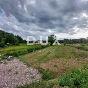 ISTRA, PIĆAN - Veliko građevinsko zemljište za izgradnju više vila