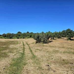 ISTRA, POMER - Građevinsko zemljište s pogledom na more
