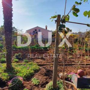 ISTRA, POREČ - Apartmanska kuća s pet stambenih jedinica i s puno potencijala