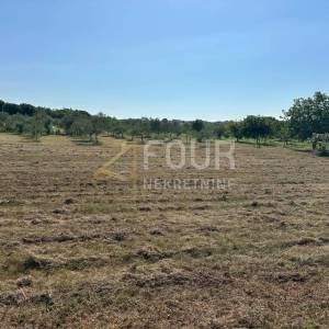 Istra, Poreč, građevinsko zemljište 3.317m2