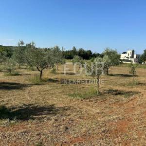 Istra, Poreč, građevinsko zemljište 3.317m2