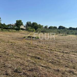 Istra, Poreč, građevinsko zemljište 3.317m2