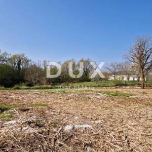 ISTRA, POREČ - Kompleks zemljišta zadnji u zoni gradnje