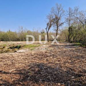 ISTRA, POREČ - Kompleks zemljišta zadnji u zoni gradnje