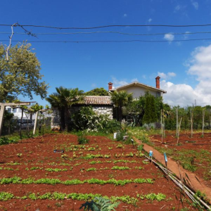 ISTRA, POREČ - Kuća s 3 stana i višenamjenskim poslovnim prostorom, pogled na more!!!