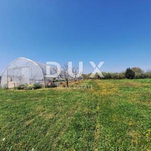ISTRA, POREČ (okolica) - Građevinsko zemljište sa pogledom na more