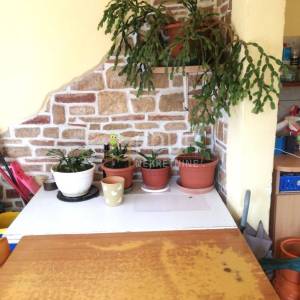 Istra, Poreč - okolica, kamena kuća 105m2